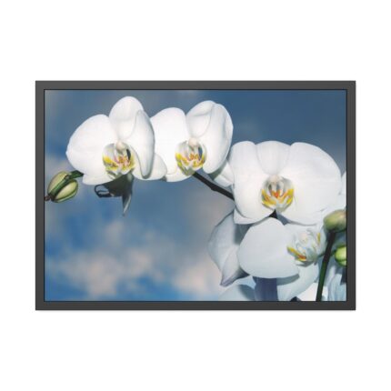 White Flower Framed Poster