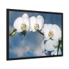 White Flower Framed Poster