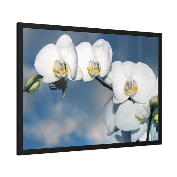 White Flower Framed Poster