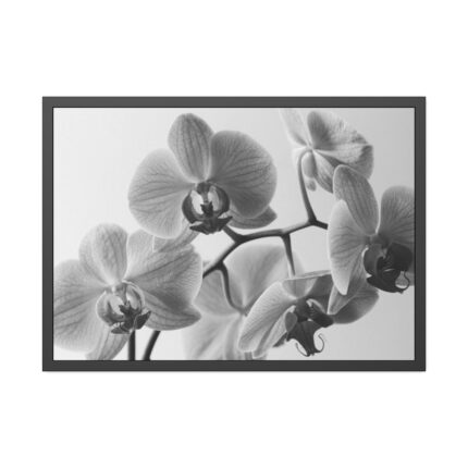 Orchid Meadow Framed Poster