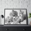93854-231.jpg Orchid Meadow Framed Poster
