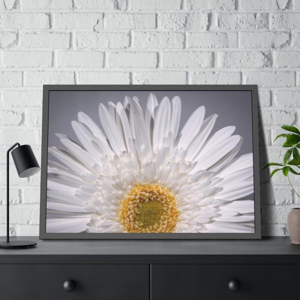 93854-235.jpg White Daisy Framed Poster