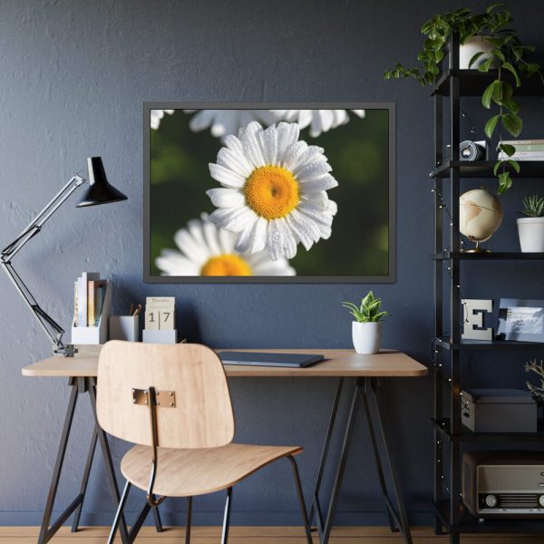 93854-238.jpg White Daisy Flower Framed Poster