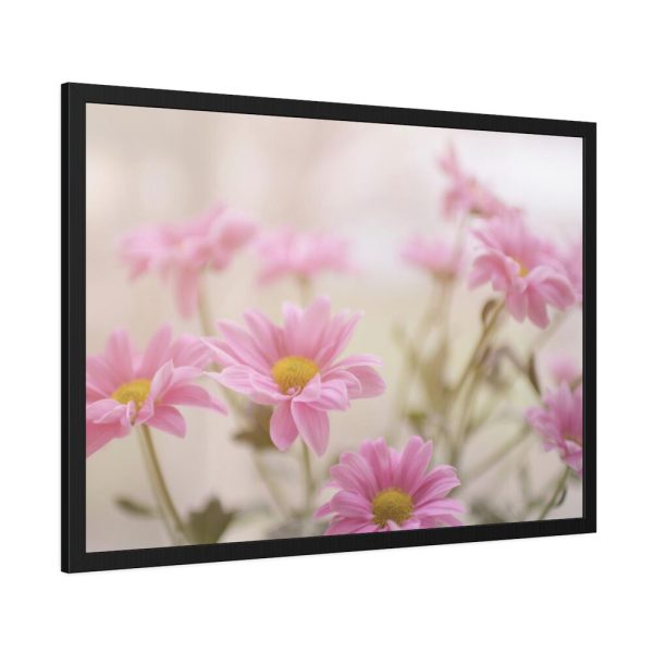 93854-241.jpg Blooming Pink Daisies Framed Poster