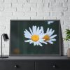 93854-251.jpg Wild Daisy Framed Poster