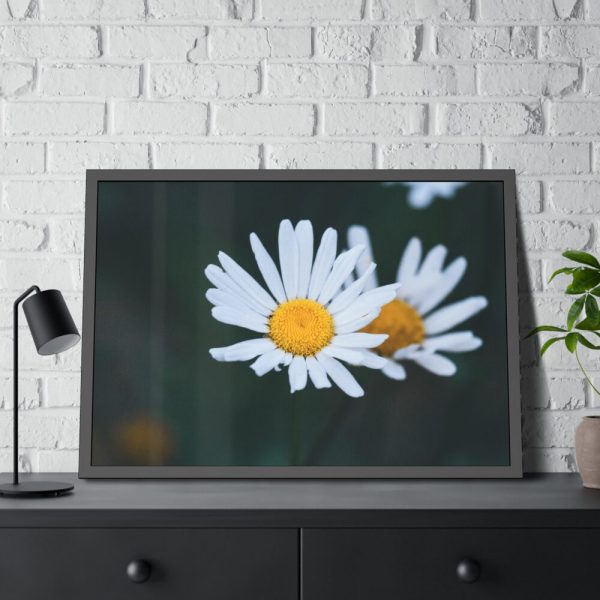 93854-251.jpg Wild Daisy Framed Poster