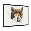 93854-281.jpg Head of a Calico Cat with Closed Eyes by Jean Bernard Framed Poster