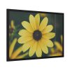 93854-293.jpg Blooming Yellow Petaled Flowers Framed Poster