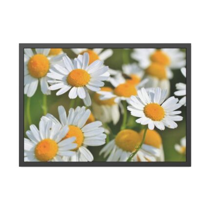 White Flowers Framed Poster