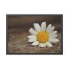 93854-300.jpg Daisy Family Framed Poster