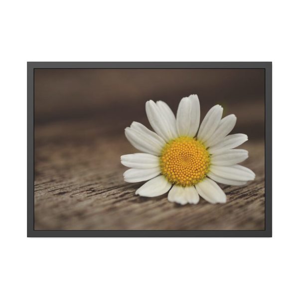 93854-300.jpg Daisy Family Framed Poster