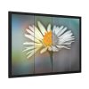 93854-305.jpg Flowering Plant Framed Poster