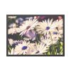 93854-312.jpg Flower Garden Framed Poster