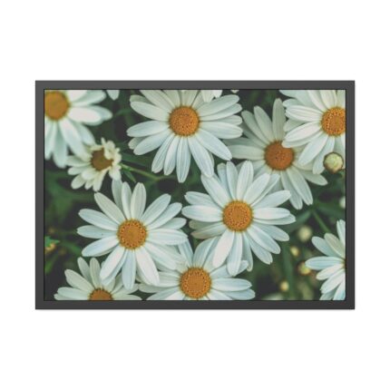 Blossom Daisy Framed Poster