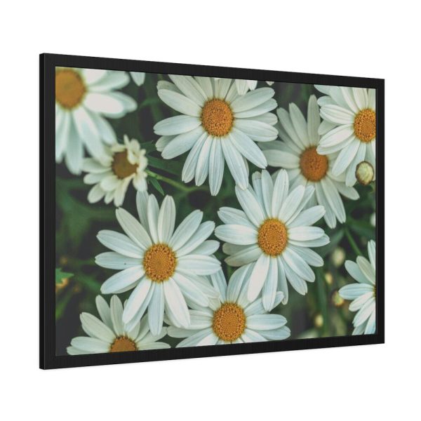 93854-317.jpg Blossom Daisy Framed Poster