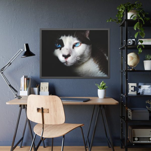 93854-322.jpg Bicolor Cat with Piercing Blue Eyes Framed Poster