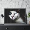 93854-323.jpg Bicolor Cat with Piercing Blue Eyes Framed Poster