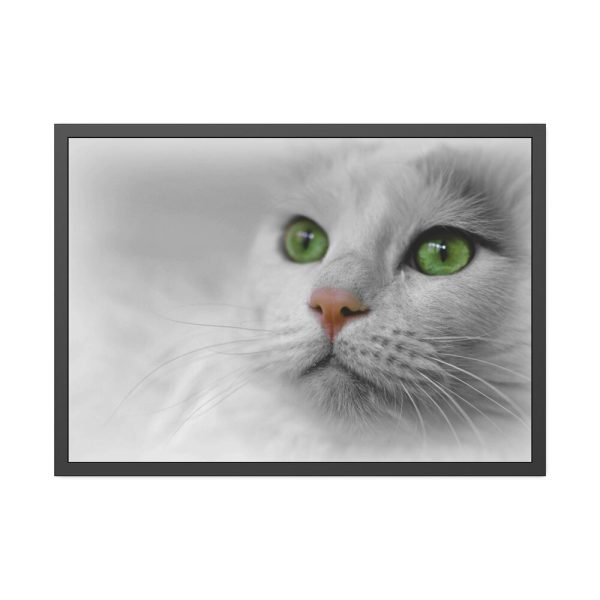 93854-324.jpg Beautiful Cat with Green Eyes Framed Poster