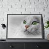 93854-327.jpg Beautiful Cat with Green Eyes Framed Poster