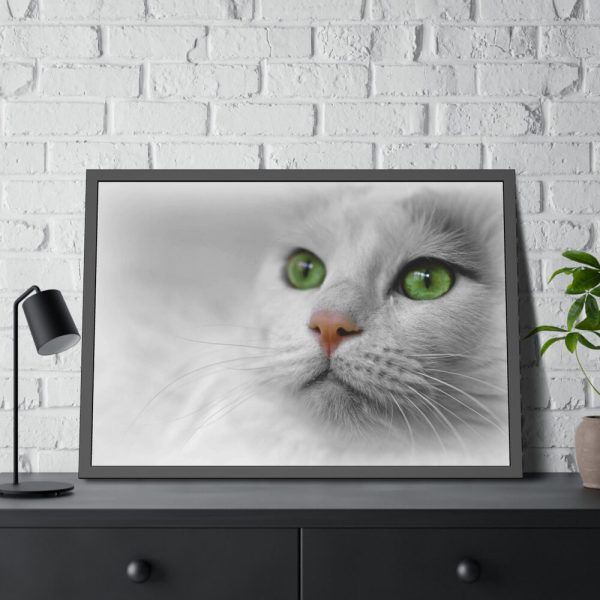 93854-327.jpg Beautiful Cat with Green Eyes Framed Poster