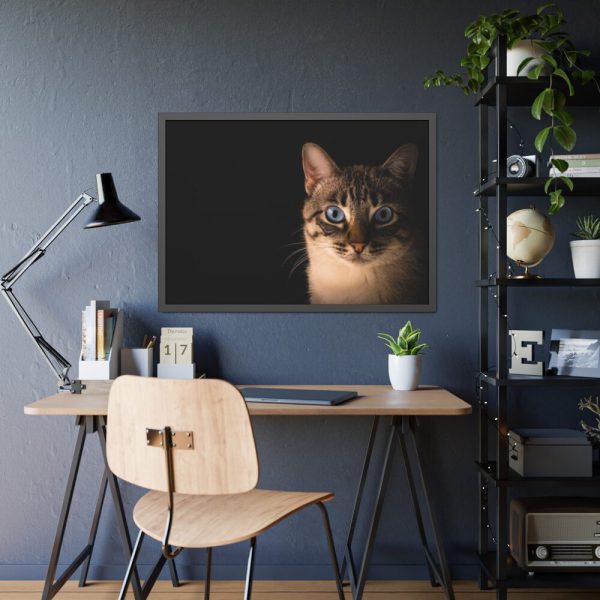 93854-330.jpg Cute Cat with Blue Eyes Framed Poster