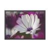 93854-332.jpg Flowering Plant Framed Poster