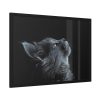 Cute Gray Cat Framed Poster