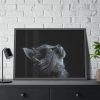 Cute Gray Cat Framed Poster