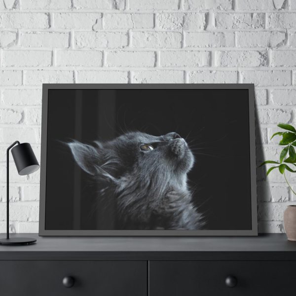 Cute Gray Cat Framed Poster