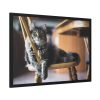 93854-341.jpg Beautiful Cat on Chair Framed Poster