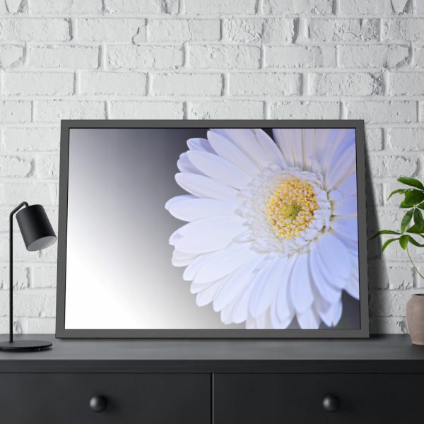 93854-347.jpg White Gerbera Framed Poster