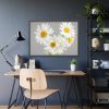 White Daisy Bloom Framed Poster