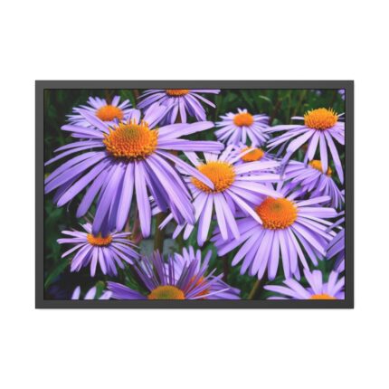 Wild Flower Framed Poster