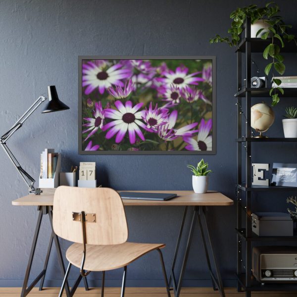 93854-358.jpg Purple Garden Cosmos Framed Poster
