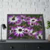 93854-359.jpg Purple Garden Cosmos Framed Poster