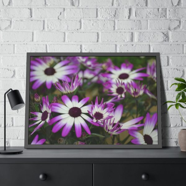 93854-359.jpg Purple Garden Cosmos Framed Poster