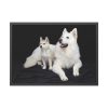 93854-36.jpg White Swiss Shepherds Framed Poster