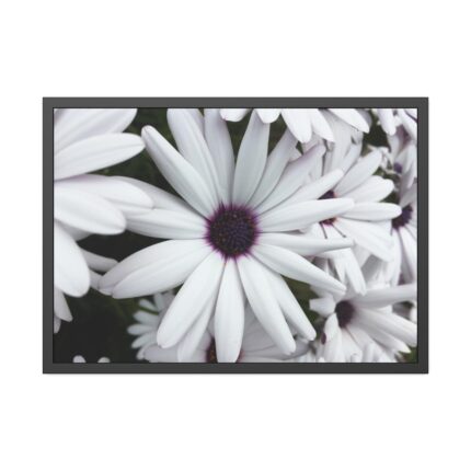Flower Petal Framed Poster