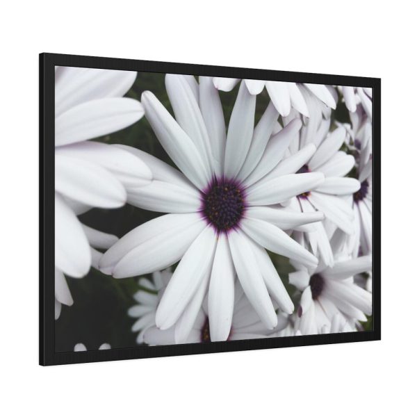 93854-365.jpg Flower Petal Framed Poster