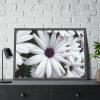 93854-367.jpg Flower Petal Framed Poster