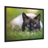 93854-369.jpg Cat Hunting Framed Poster