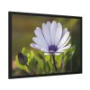 93854-393.jpg Herbaceous Plant Framed Poster