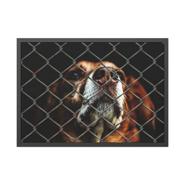 93854-4.jpg Dog Behind Wire Fence Framed Poster