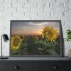 93854-407.jpg Sunflower Plant Flower Framed Poster