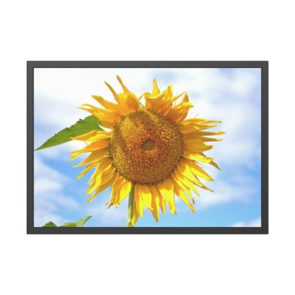 Farming Yellow Flowers  Framed Poster