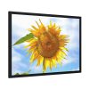 93854-425.jpg Farming Yellow Flowers Framed Poster
