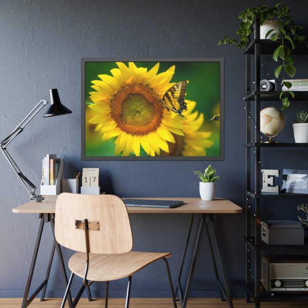 93854-430.jpg Sunflowers Begin to Bloom Framed Poster