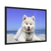 93854-45.jpg Dog on the Beach Framed Poster