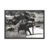 93854-492.jpg Mother and Baby Elephant on the Road Framed Poster
