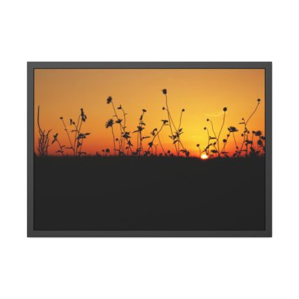 Sunset Framed Poster